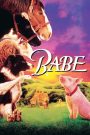 Babe (1995) เบ๊บ หมูน้อยหัวใจเทวดา