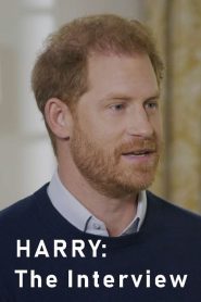 Harry The Interview (2023)