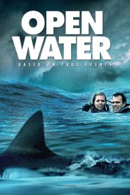 Open Water (2003) ระทึกคลั่ง ทะเลเลือด