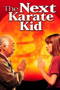 The Next Karate Kid (1994)