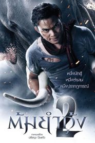 The Protector 2 (2013) ต้มยำกุ้ง 2