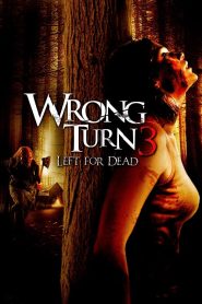 Wrong Turn 3 Left for Dead (2009) หวีดเขมือบคน 3